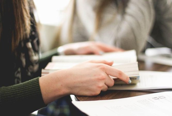 kurs küçük resmi